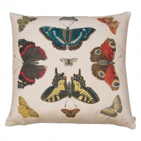 MIRRORED BUTTERFLIES/CARMINE